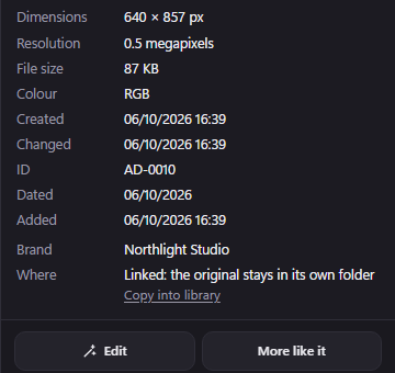 An item's Info tab, where Where says Linked: the original stays in its own folder, with a Copy into library link